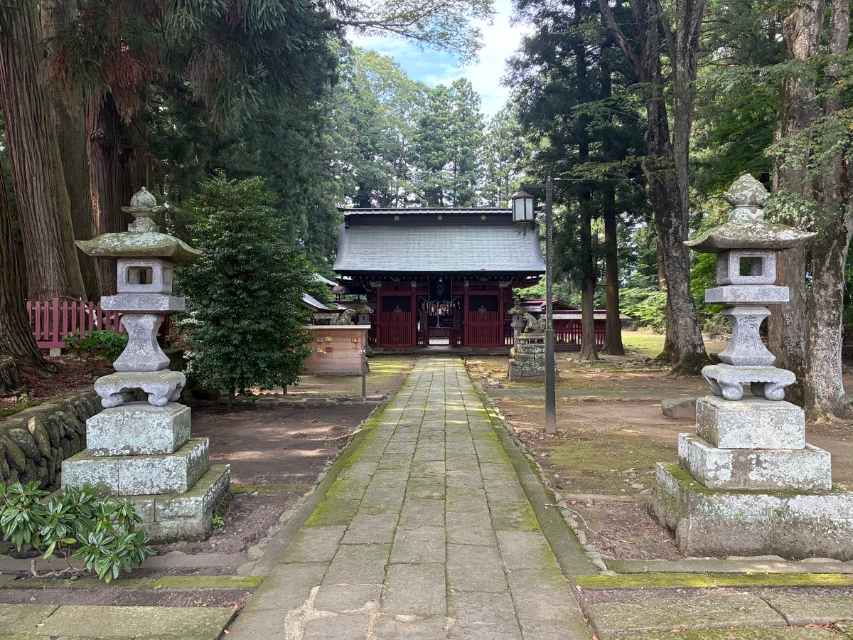 画像