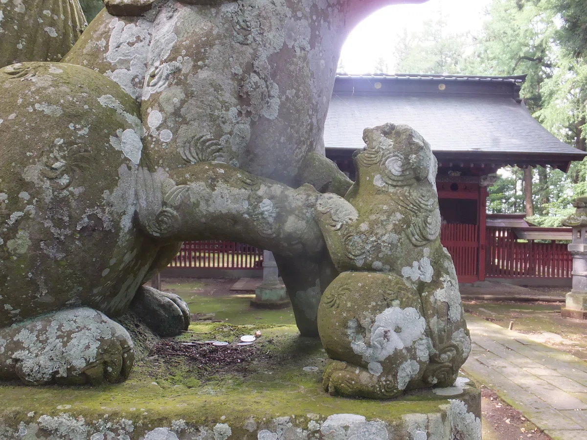 画像