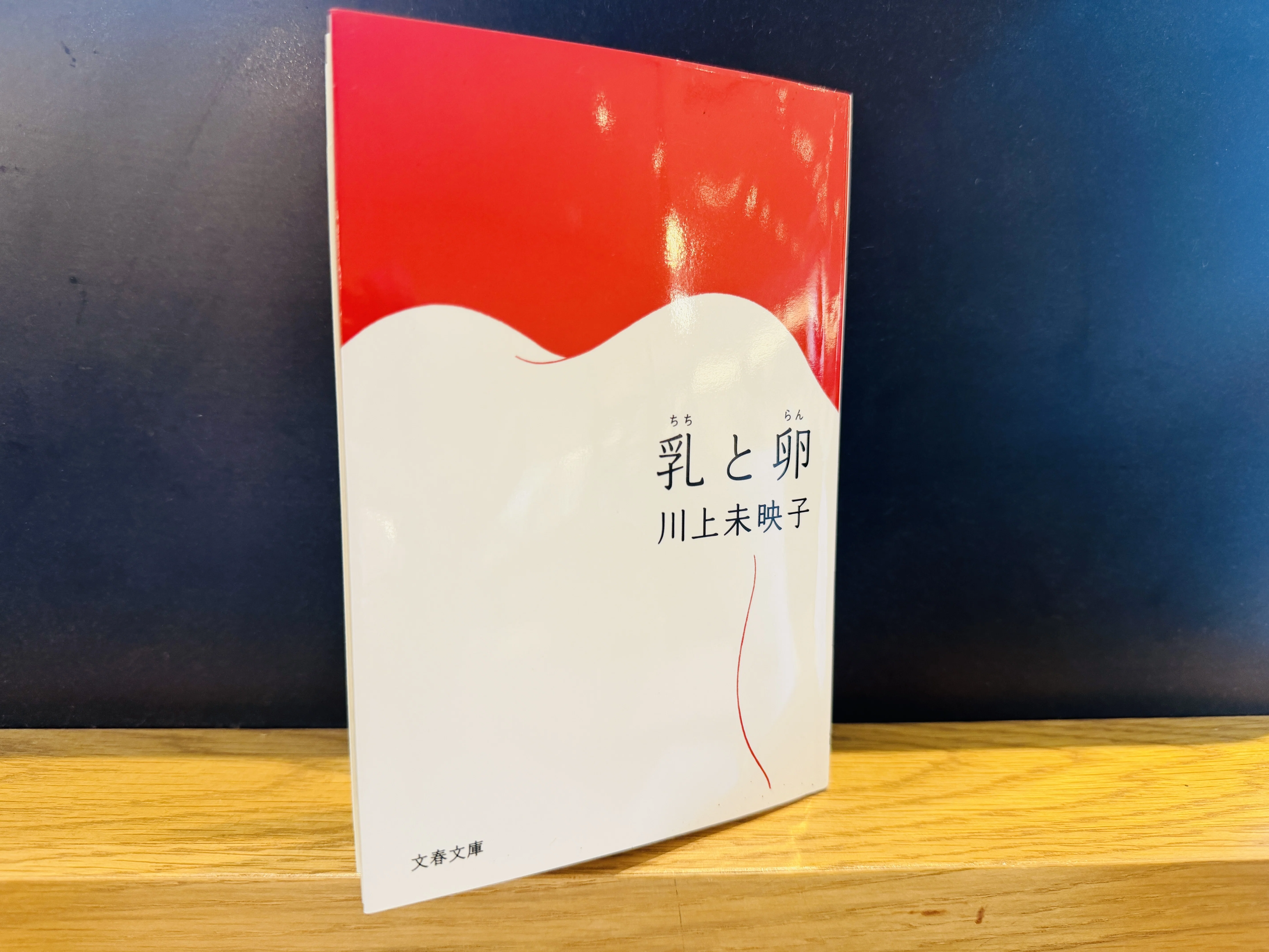 普通におっぱいの話だった【川上未映子／乳と卵】｜横田寛之