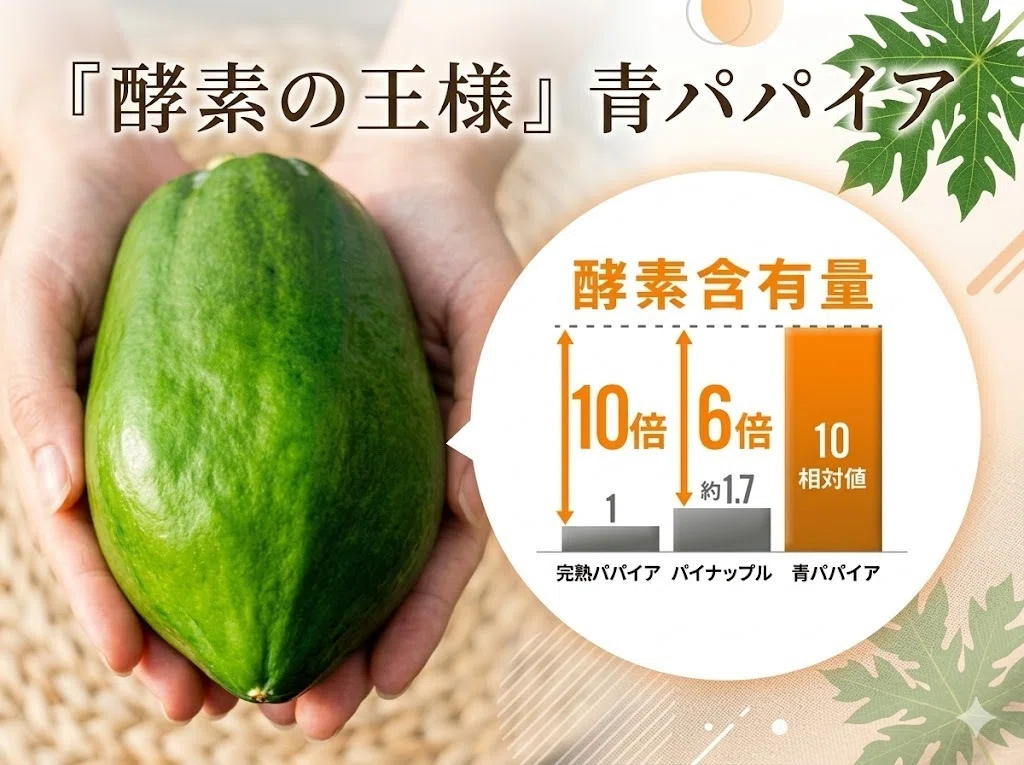2026.9.10『そもそも『青パパイヤ』って何が違うの❓』｜パパイア王子