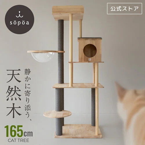 sopoaキャットタワーの口コミを調べてみた｜天然無垢材の気になる評判