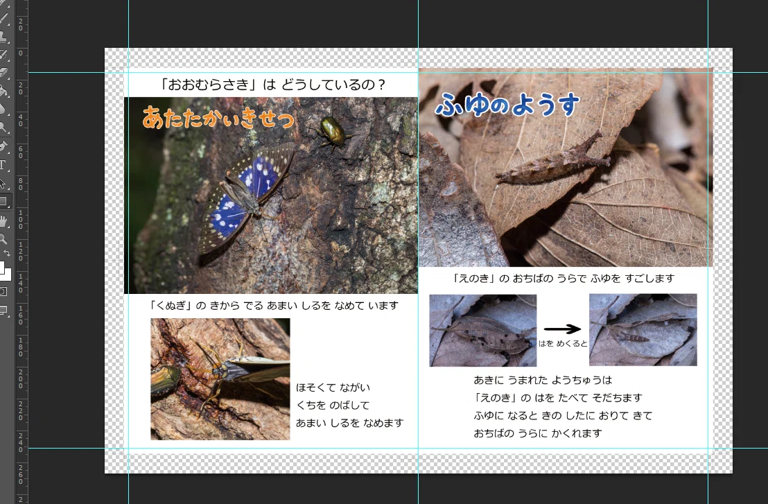画像