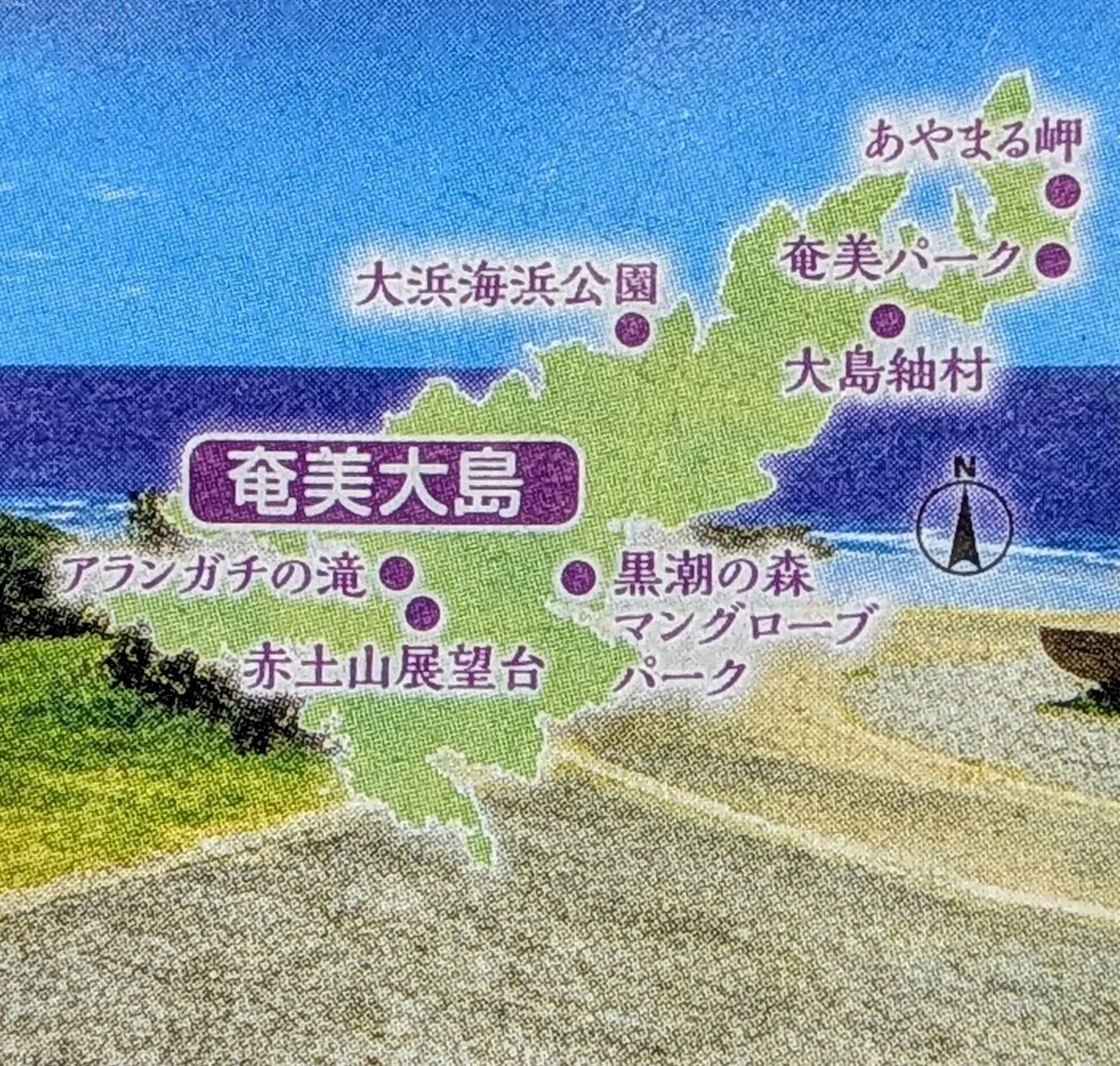 奄美大島で、ちょっとだけ大人を休んでみた🥭世界遺産がくれた「現実