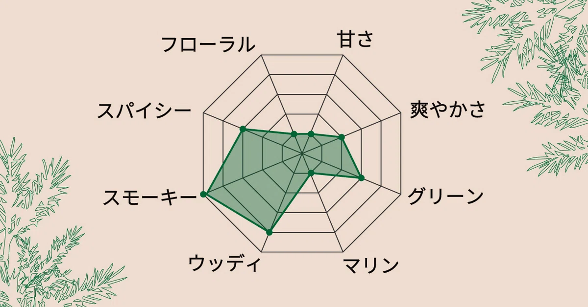 レーダーチャート_©きゃら