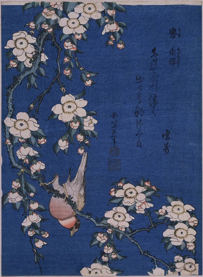 美品 昭和15年◆『鵜月左青』左青俳画前集 和紙木版画12枚、和紙解説12枚と他 美術館に行ってきた雑記｜Higurashi
