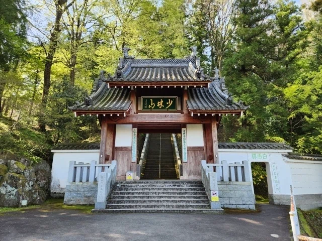 釈尊から、赤いだるま。2,500年をめぐる教えと伝説｜達磨大師伝⑤