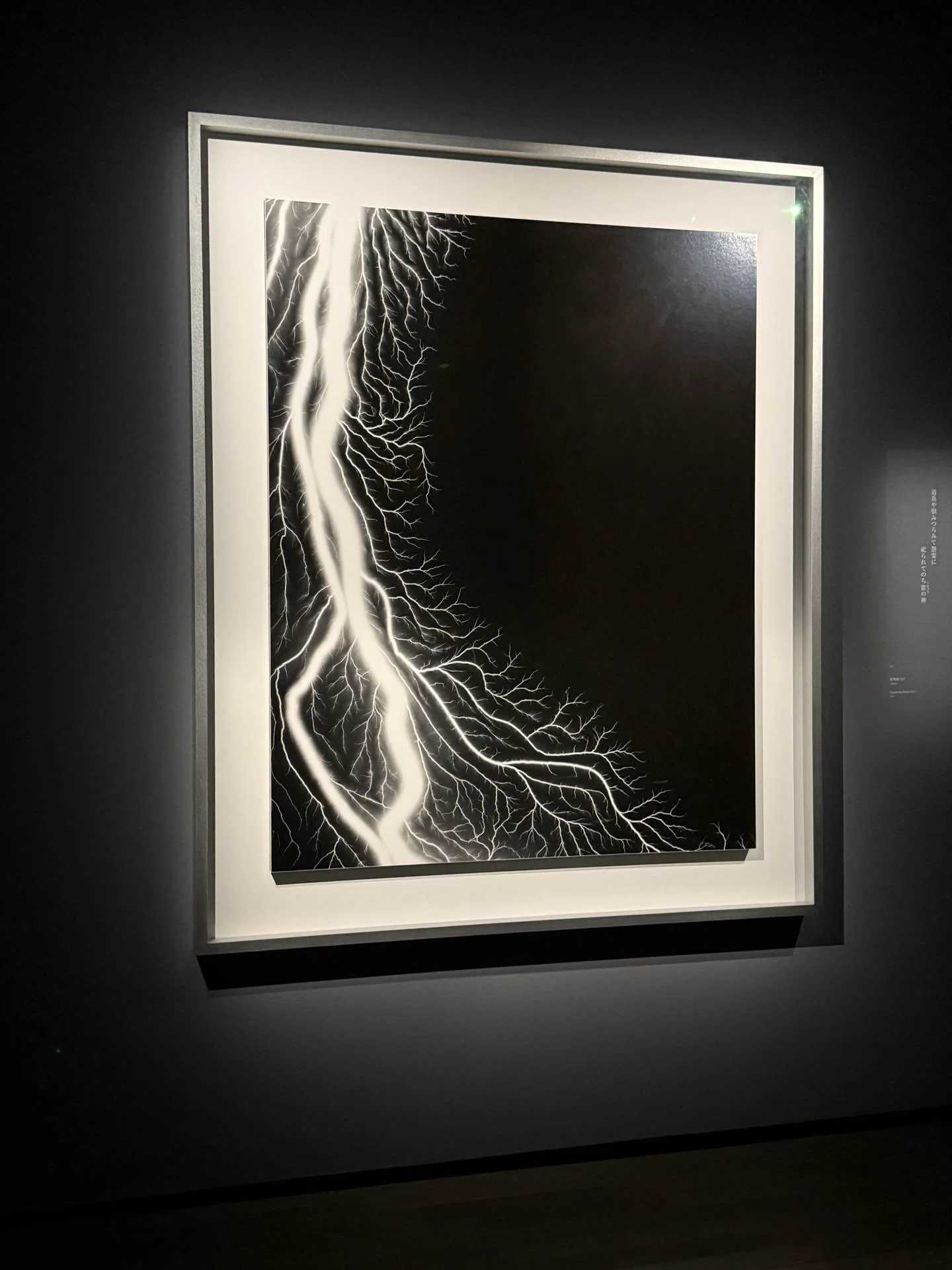 時間のかたち——杉本博司 展覧会ノート｜nimyu