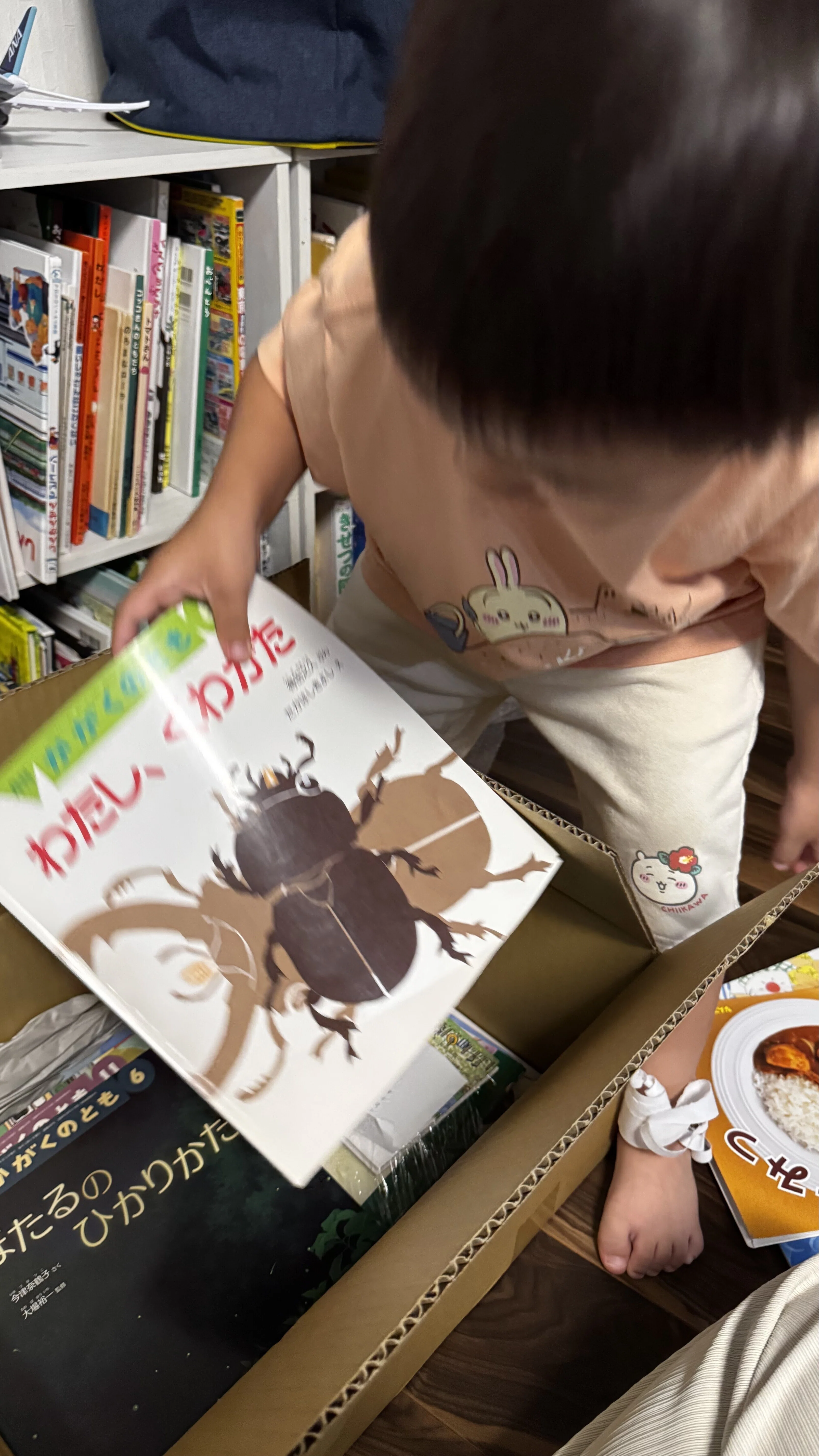 絵本福袋の中身、全部見せます】幻の「こども古本店の絵本福袋」を実際
