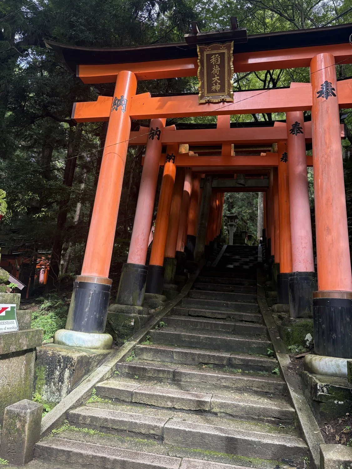 千鳥居のもとで』の伏見稲荷を歩く ── 稲荷山、十の場所（創作大賞