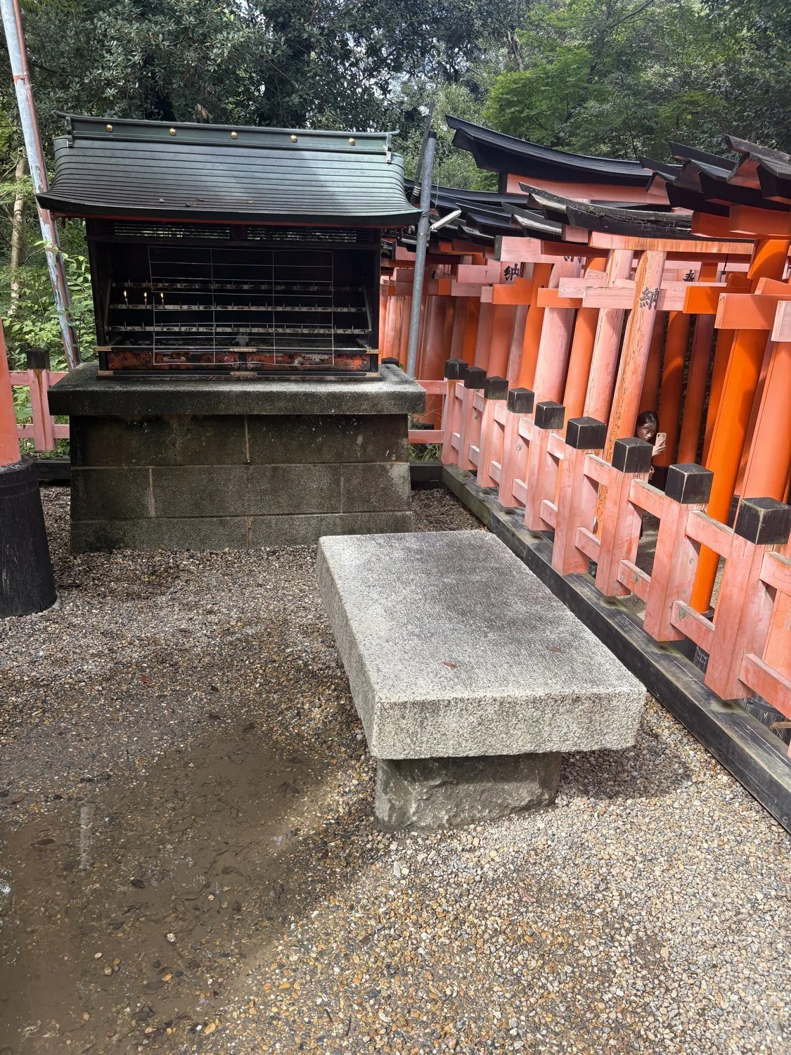 千鳥居のもとで』の伏見稲荷を歩く ── 稲荷山、十の場所（創作大賞