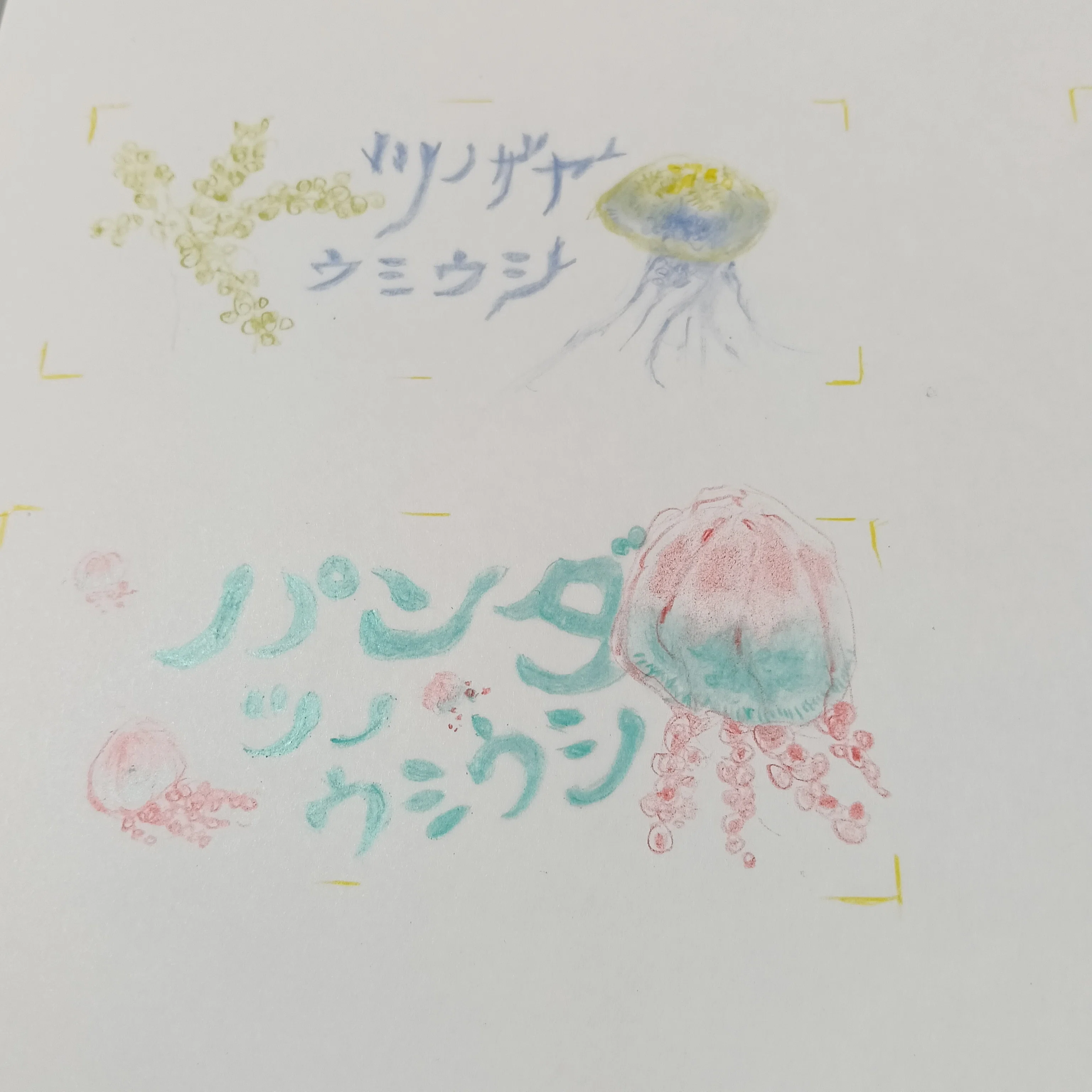 色鉛筆画0912｜エカレエリ@詩-絵-自主制作