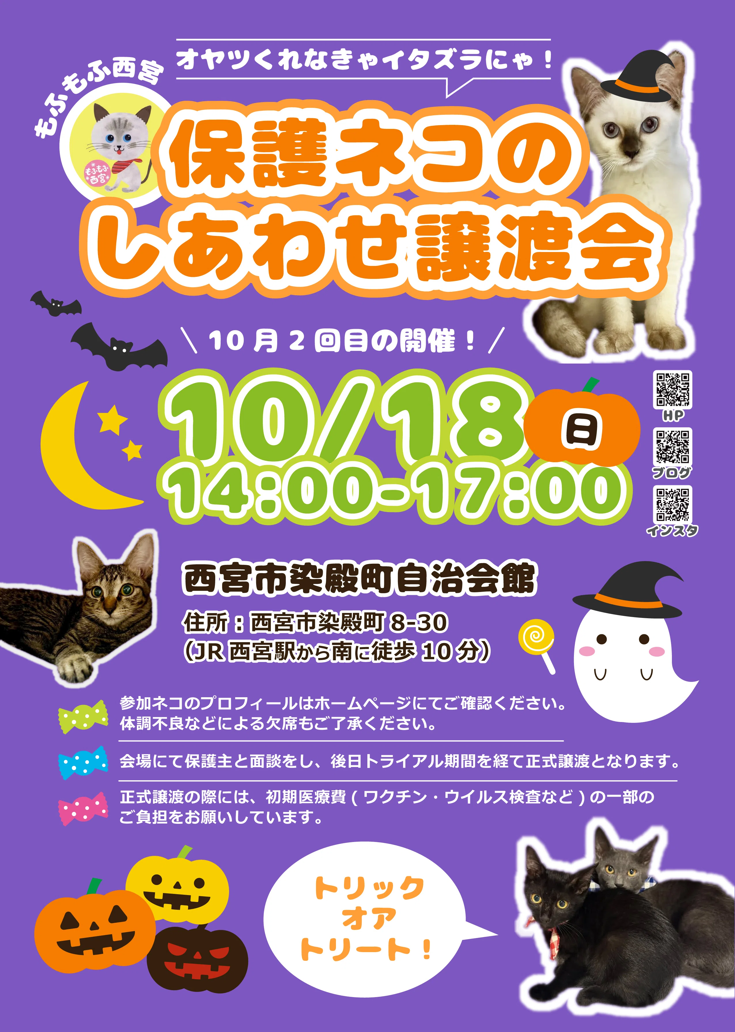 保護猫譲渡会 チラシ｜ポートフォリオ｜Takara￤イラストレーター