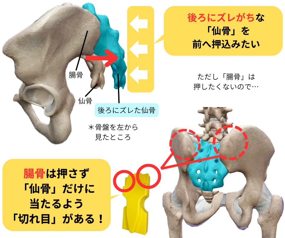 仙骨枕】再販記念：開発秘話vol2.意外と知らない「形の意味」｜藤井