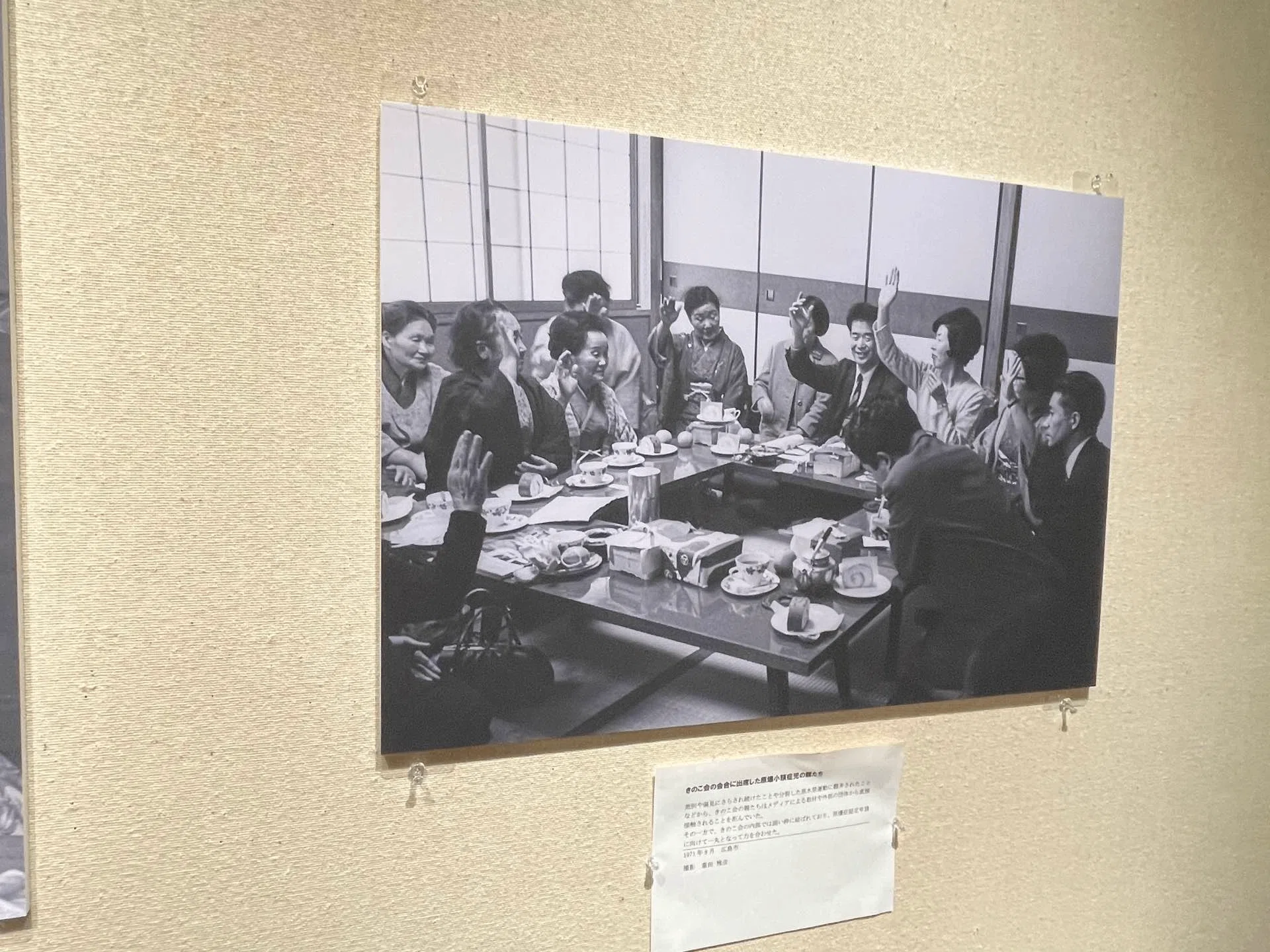 Love as 'Concealment': Microcephaly from the Atomic Bomb and Macro ...