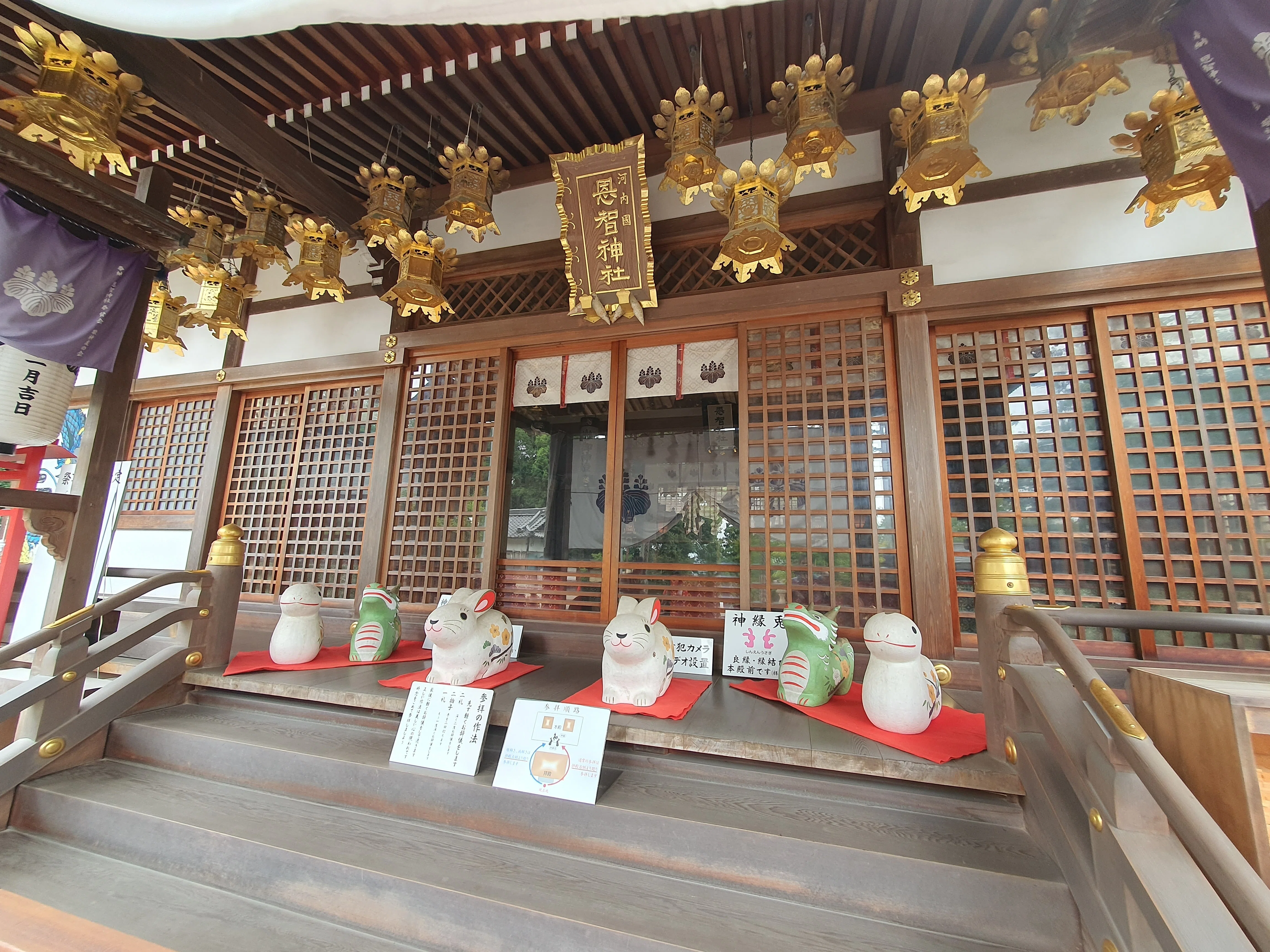 恩智神社｜2026年9月12日｜Nagi