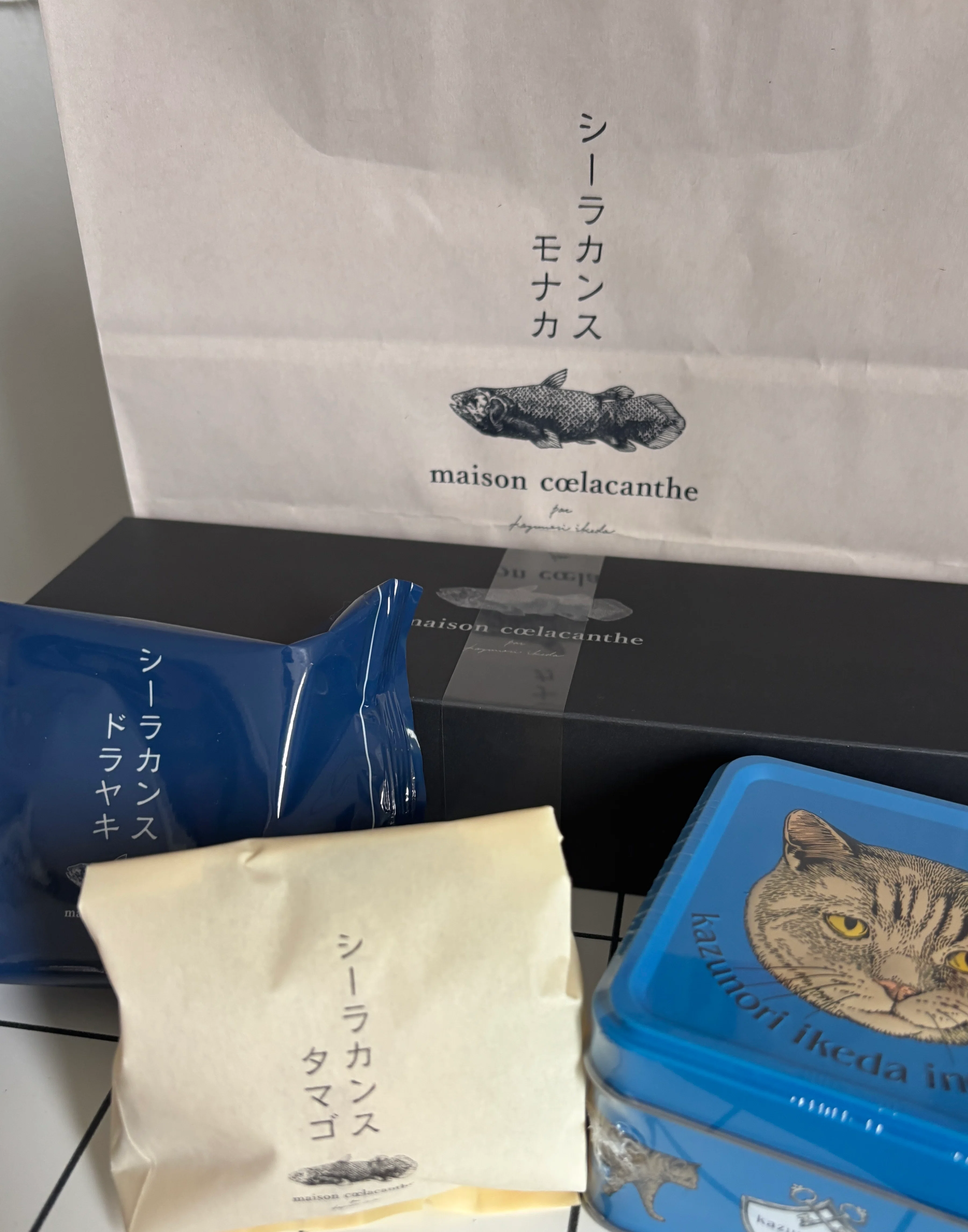 メゾンシーラカンスに行った｜こめこ