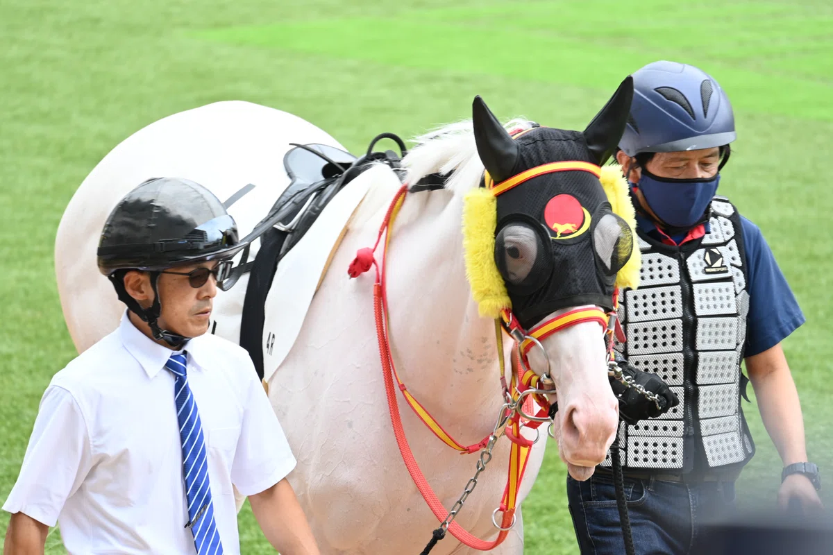 馬券でレンズ購入チャレンジ#89】 2026/9/13 3歳未勝利｜TODA