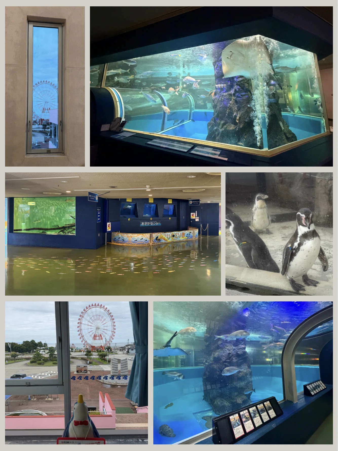 ノスタルジックで余韻あふれるアクアリウム | 魚津水族館の愛おしき沼