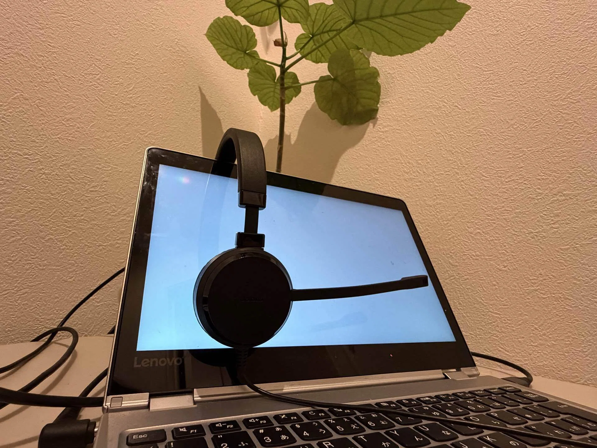 レビュー】Web会議におすすめの有線ヘッドセット。Jabra Evolveで耳の