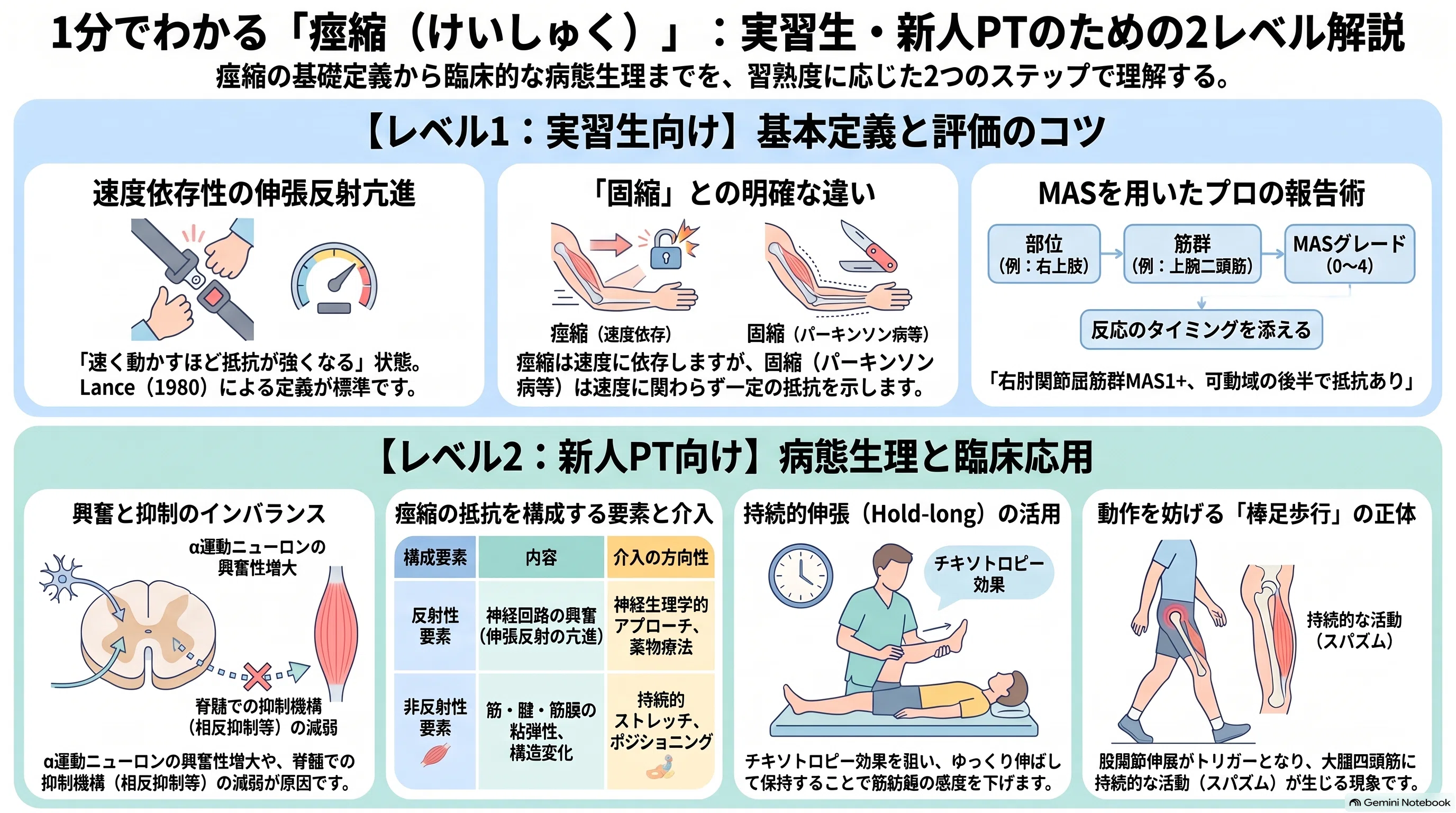 1分で分かる専門用語】理学療法士(PT)実習・臨床で固まらない！「痙縮