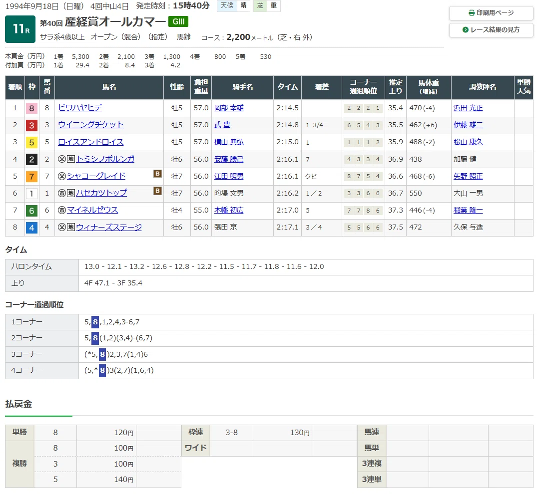 ビワハヤヒデ 1994年オールカマー 現地単勝的中馬券 全国通販OK