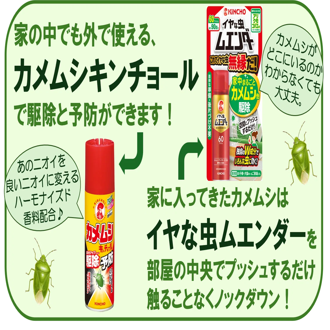 金鳥ここだけ話】秋のカメムシ襲来に備えよう！｜KINCHO公式note 大