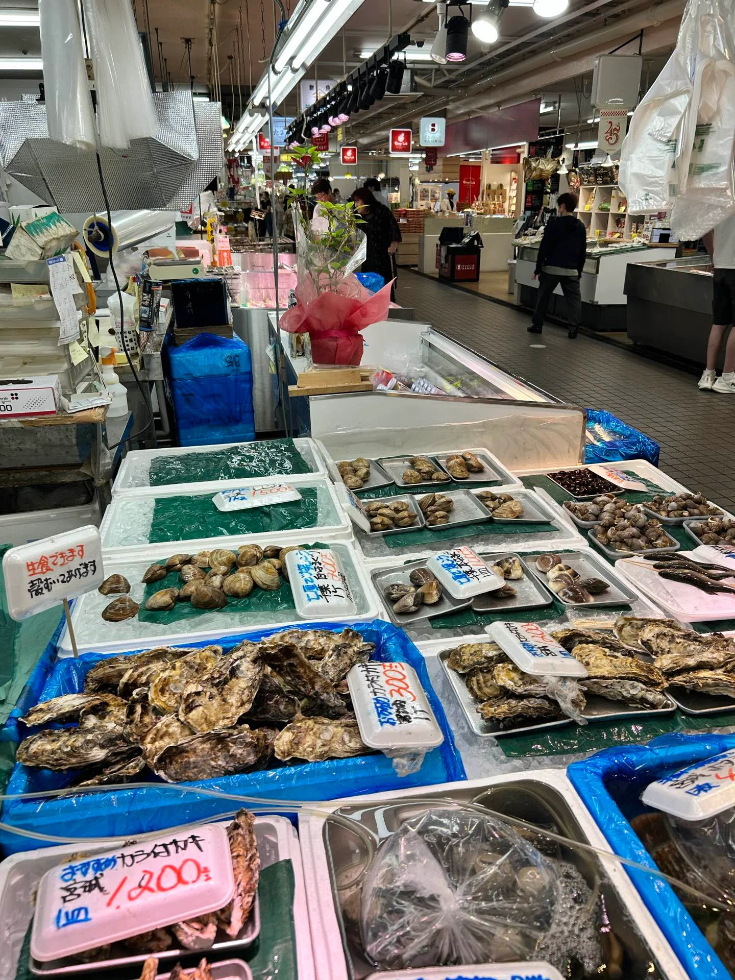 コメント