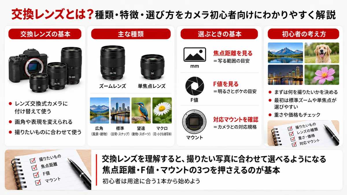 交換レンズとは？種類・特徴・選び方をカメラ初心者向けにわかりやすく
