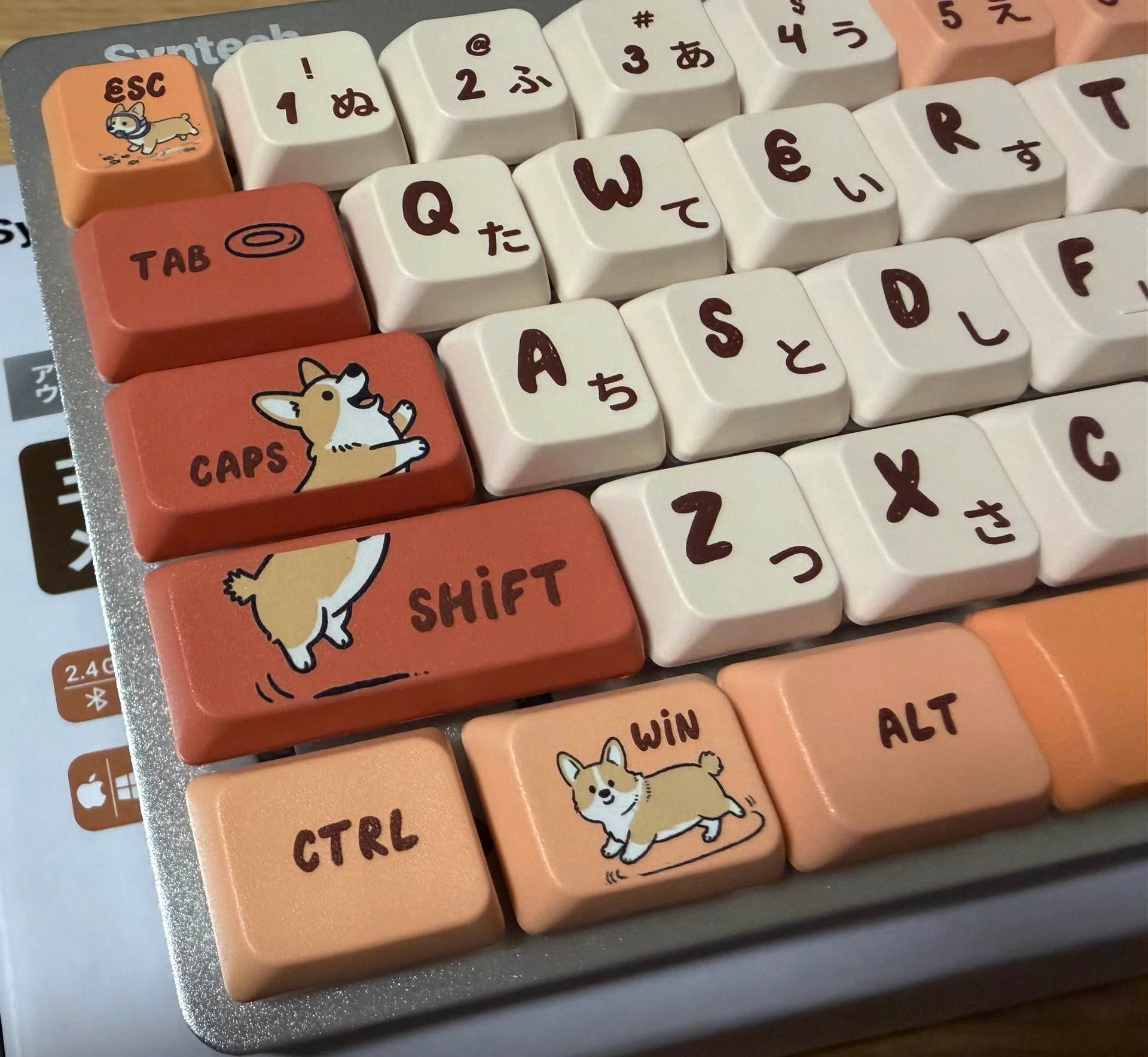 Honest Review] I Tried the Syntech Chronos 68 Low-Profile｜saku