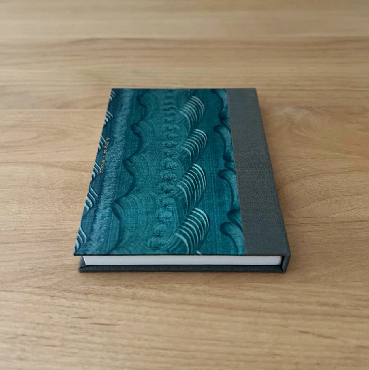 workshop] Let's Rebind a Paperback (Swiss Binding) | 