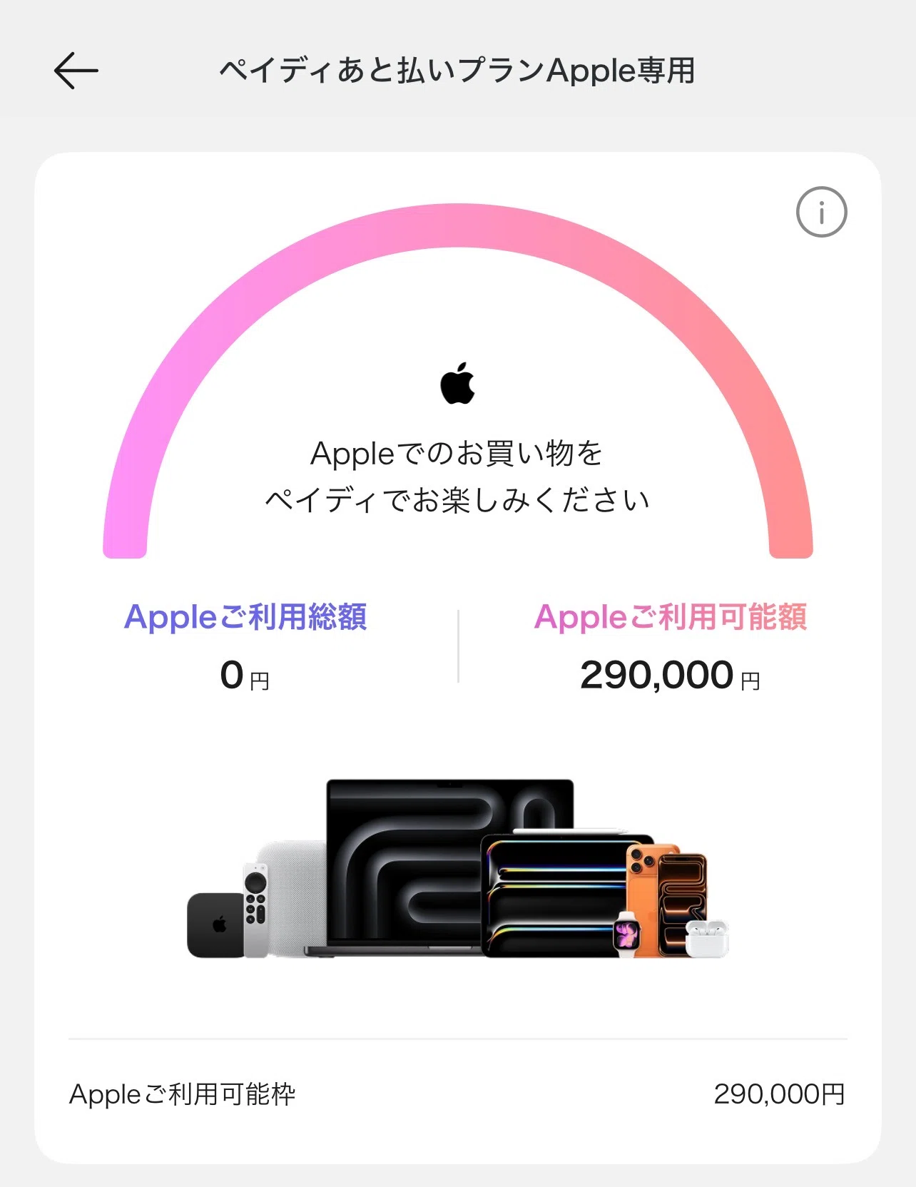 ペイディ残念事件】最大60万円なのにiPhone 18 Pro Maxが買えない