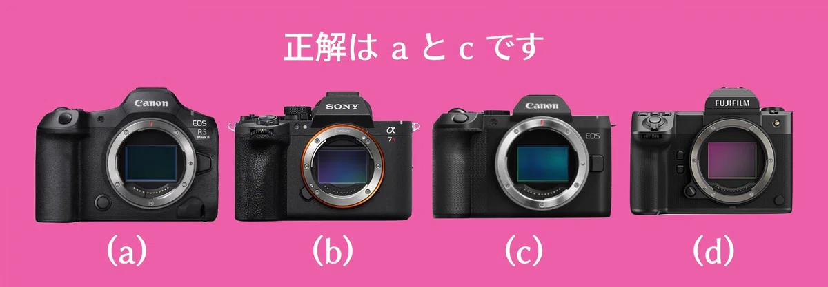 正解は a と c