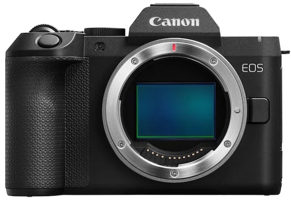 端正な面持ちのEOS R8 Mark II