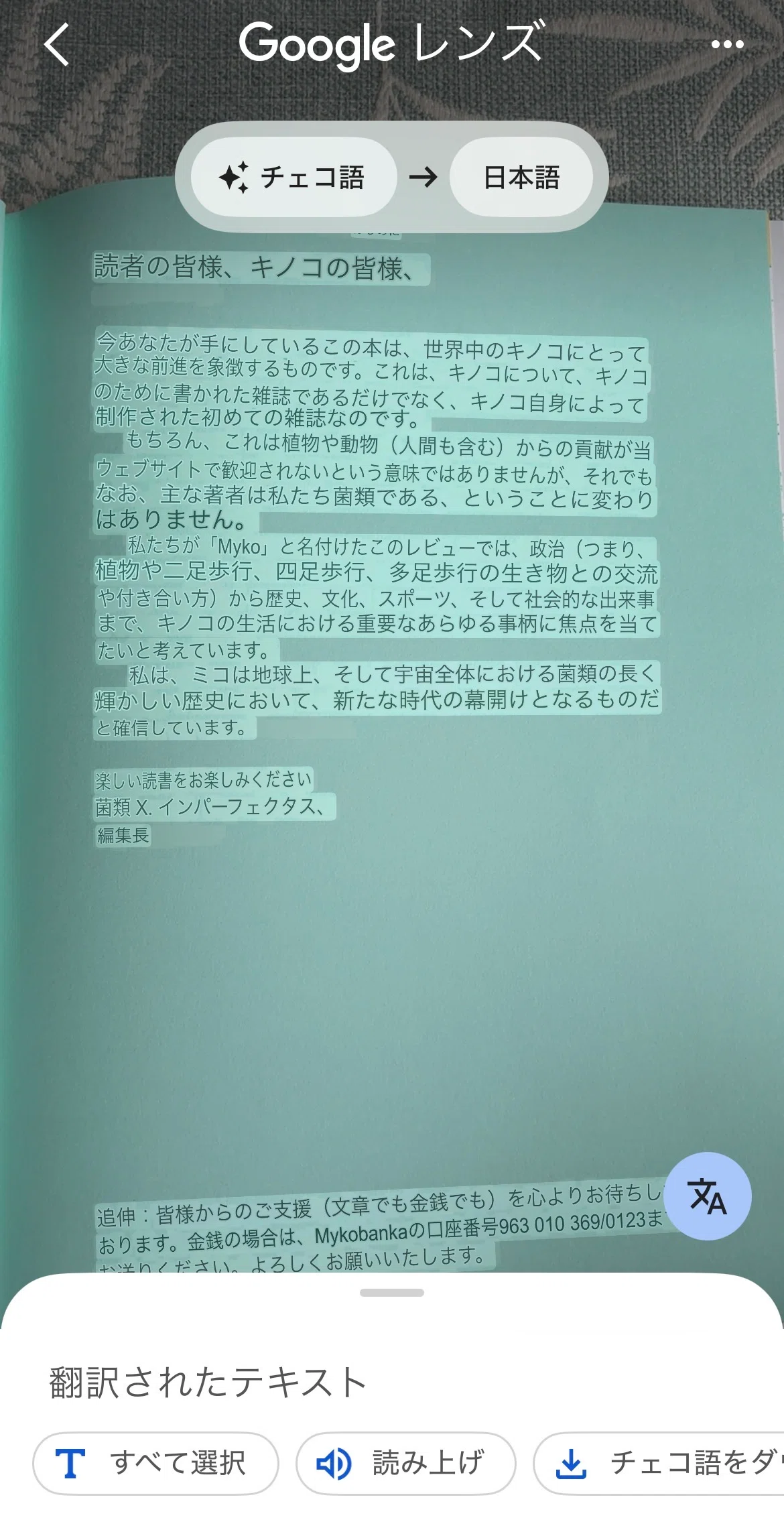 コメント