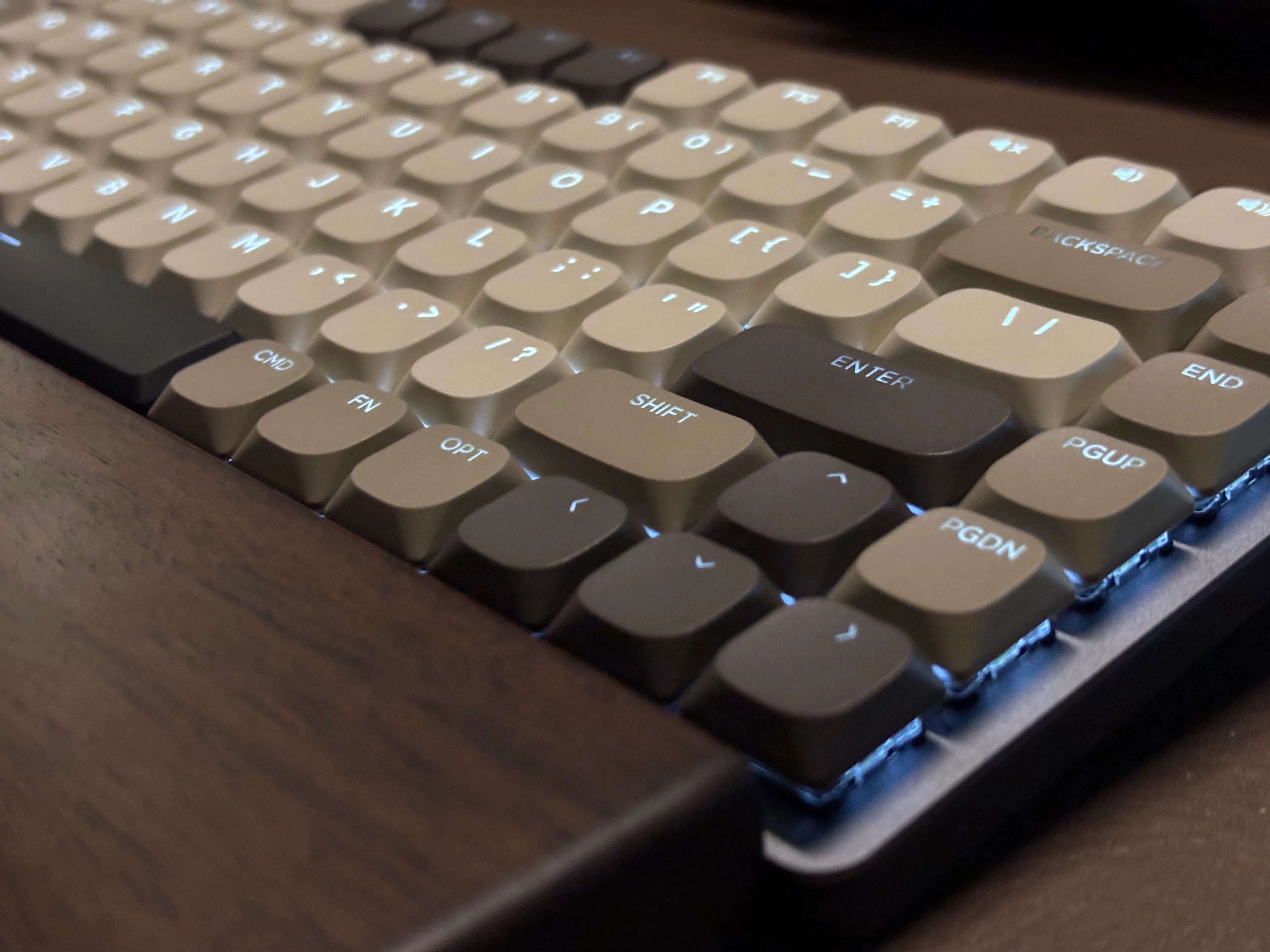 MX Mechanical Mini for Macレビュー】約2ヶ月使って分かったこと