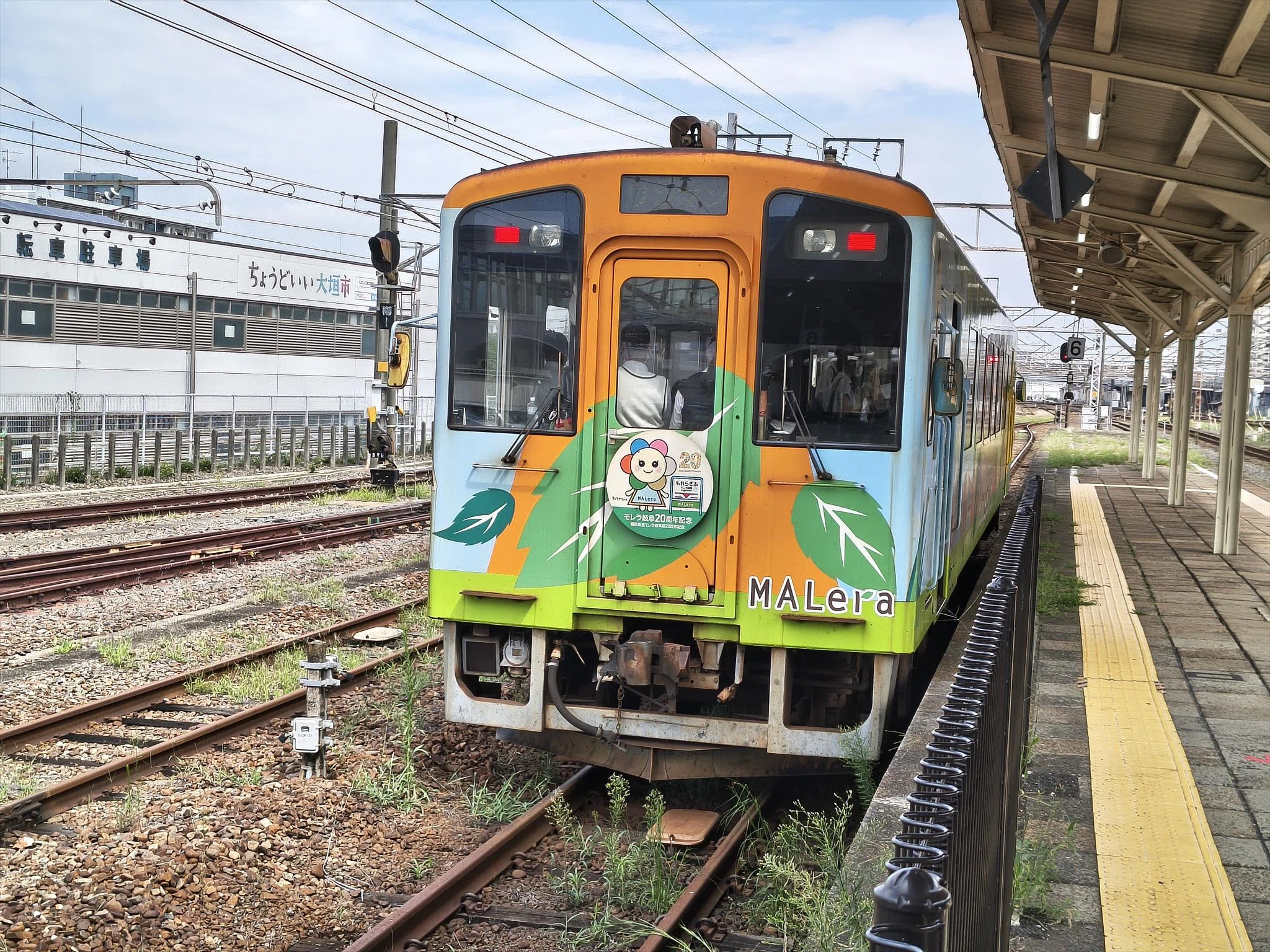 樽見鉄道に乗って断層を観察しよう!|きし 樽見鉄道に乗って断層を観察しよう!|きし