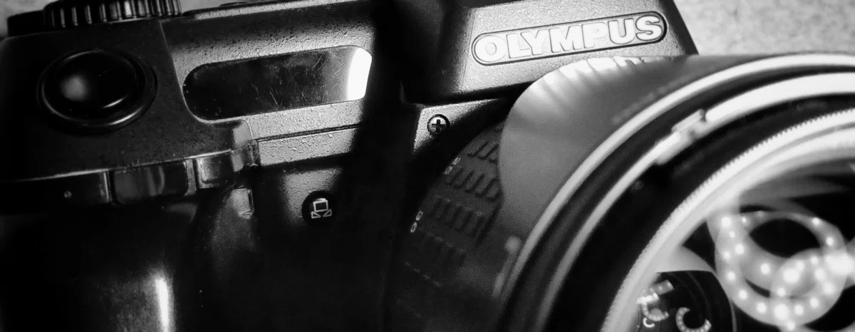 file. 黒蛇 Olympus Camedia E10 no.11｜Sasaki Keishun file