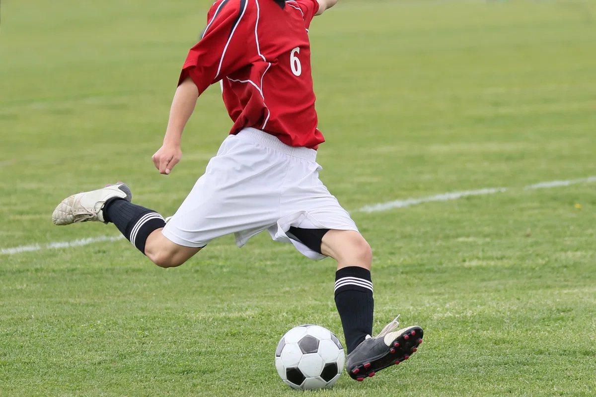 Groin Muscle Machine The Top Candidate for Groin Pain? A Thorough Explanation of the ...