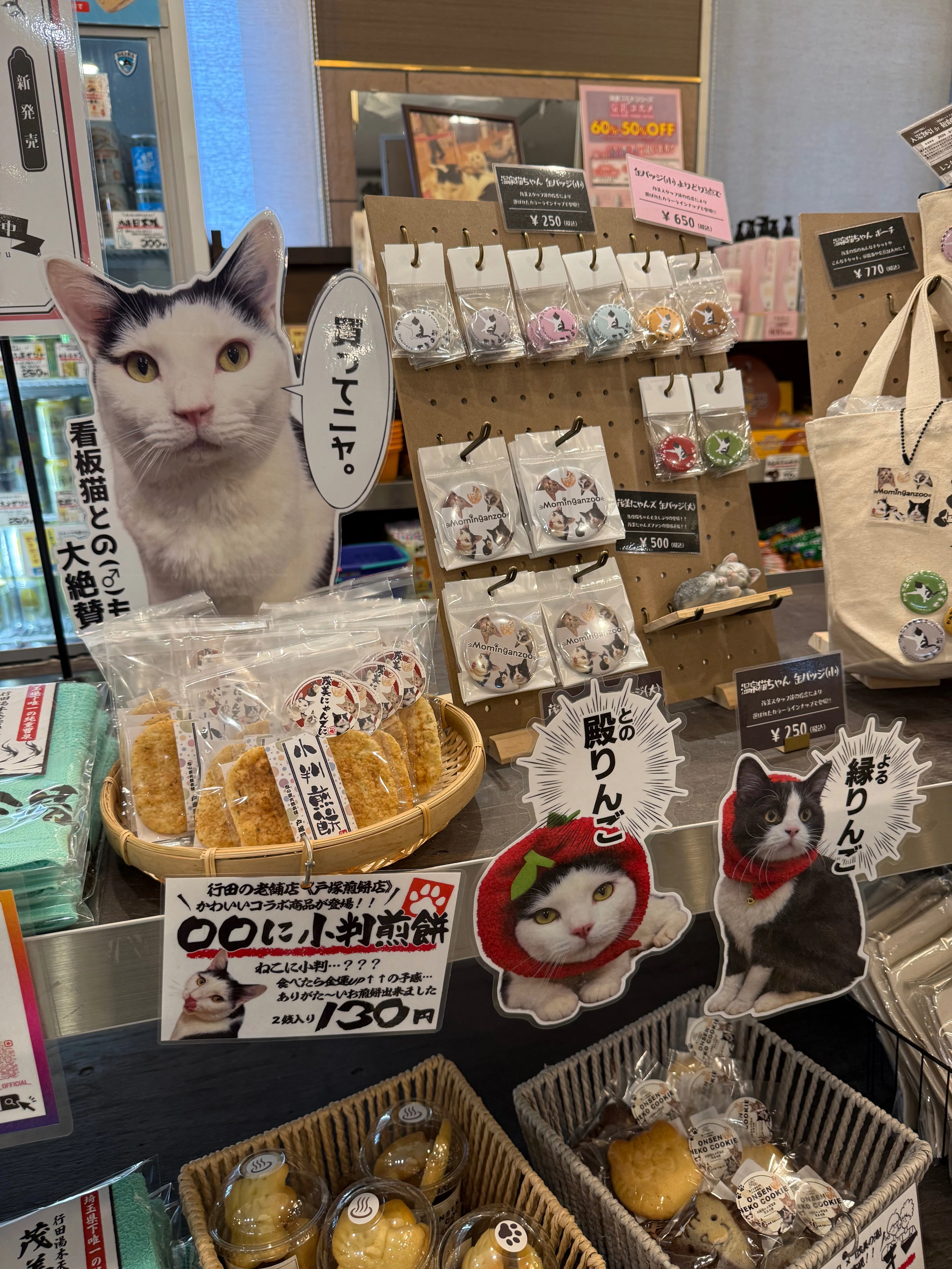 043 猫温泉「茂美の湯」に行ったら看板猫が案内してくれた