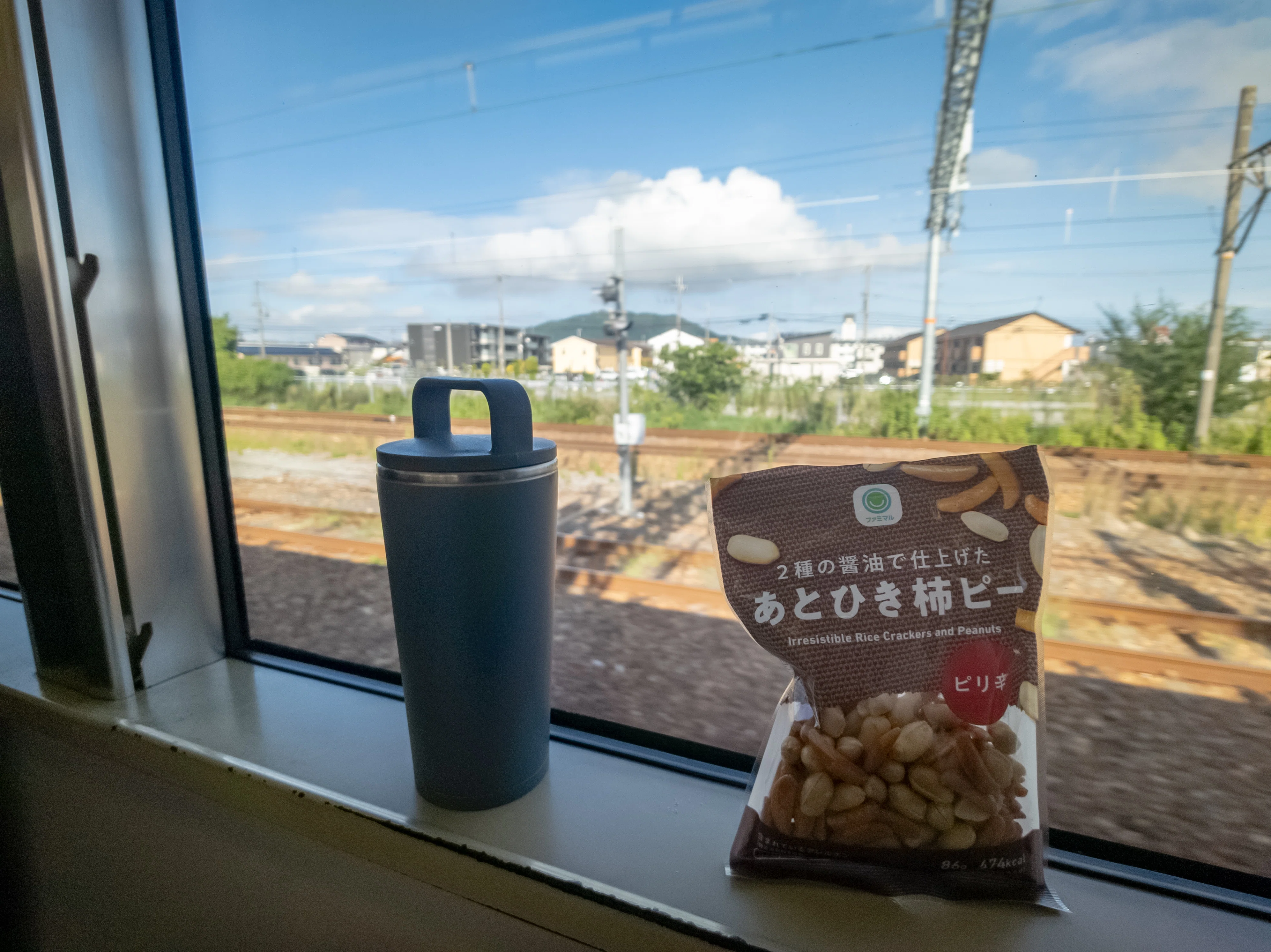 専用なし説明文どおり理解出来る方購入してください。 文学フリマに参加してみた②｜大昔の生物