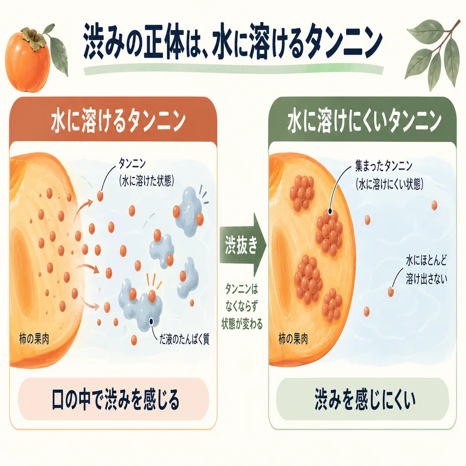 柿 渋い 口 の 中