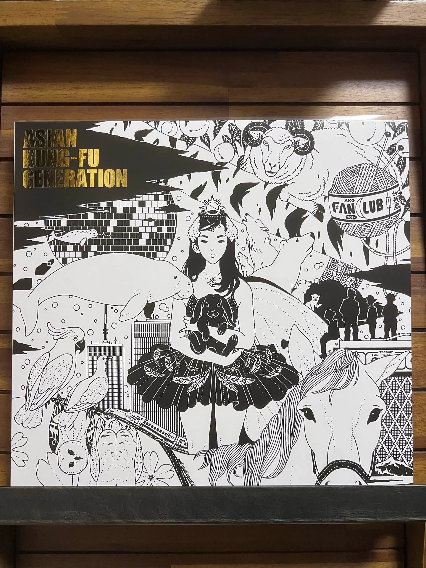 帰ってきた！今日(9/18)初めて聴いたレコード(ASIAN KUNG-FU