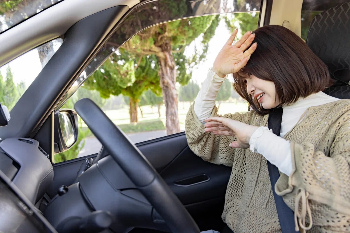 Non Behavior Examples Why Safety-Oriented Driving Assistance Can Lead to Dangerous Driving: A ...
