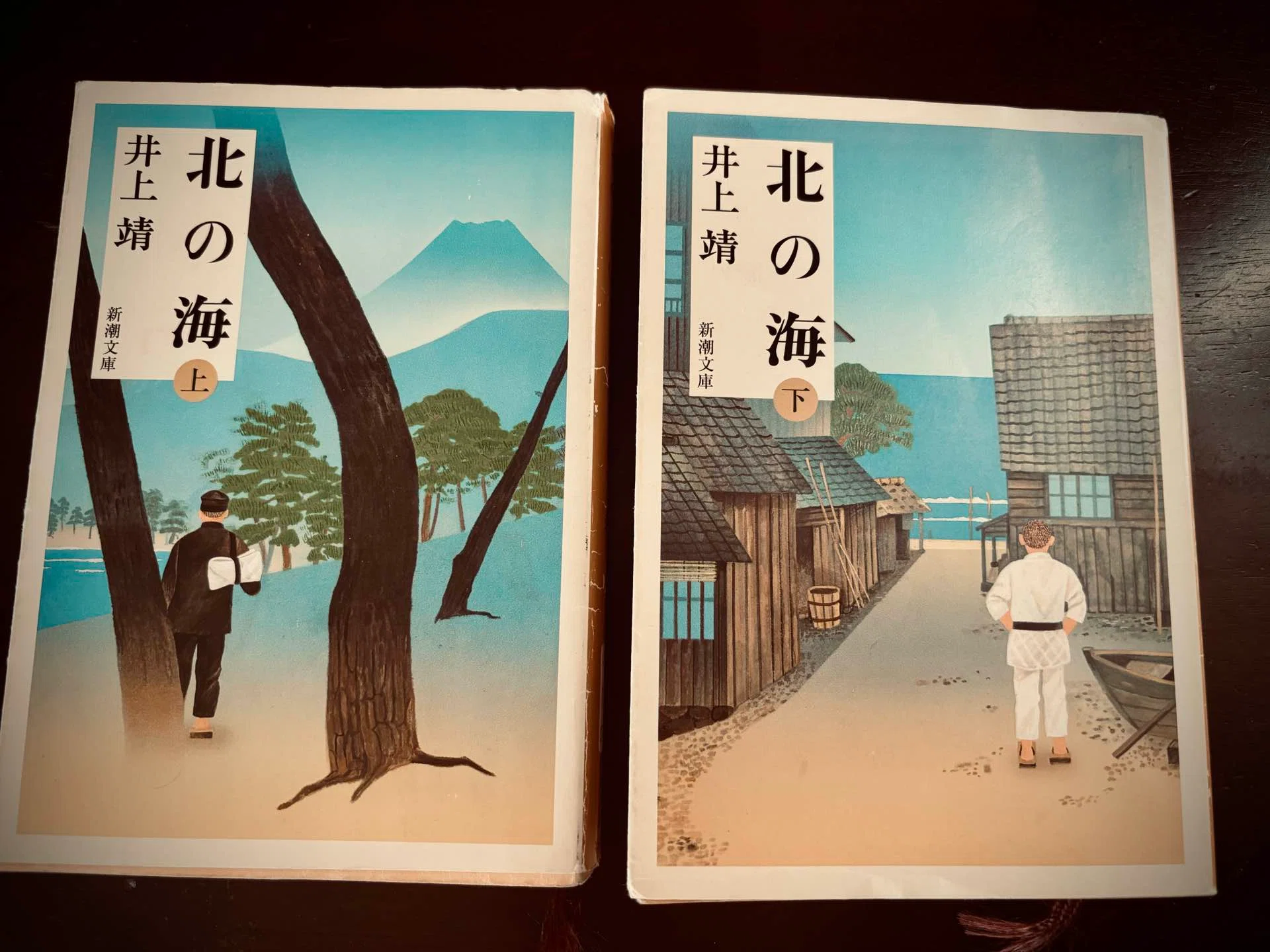 ☆ 大本 靖 ☆「流氷のオホーツク」木版画　小全紙　A.P　未使用額！ 千本浜の「ごくらくとんぼ」｜TMK