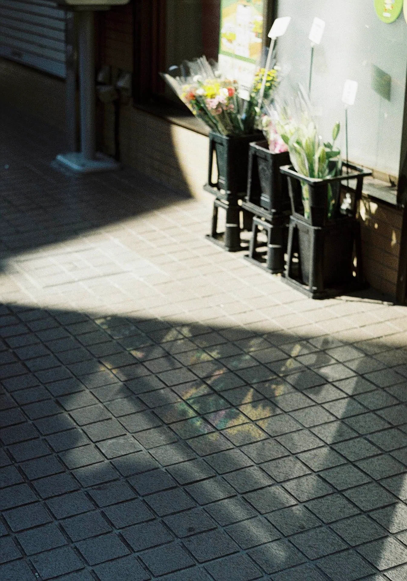 フィルムは、愛おしさのタイムカプセル｜成瀬みく/旅するカメラモデル