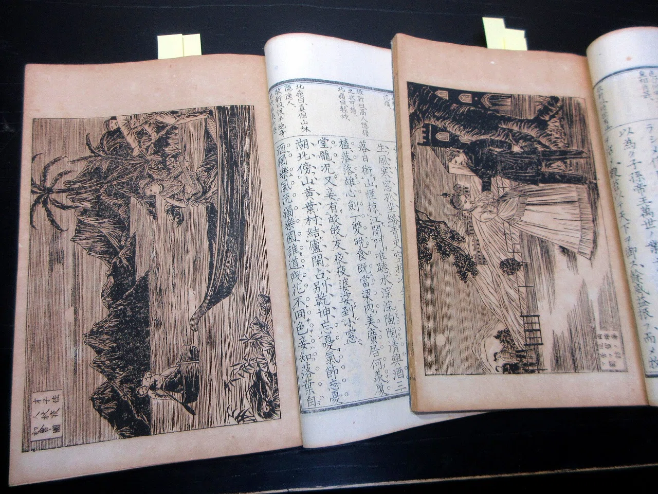 和本明治20年（1887）「字血句涙/回天之弦声」乾坤2冊揃い/蘆田束雄/絵