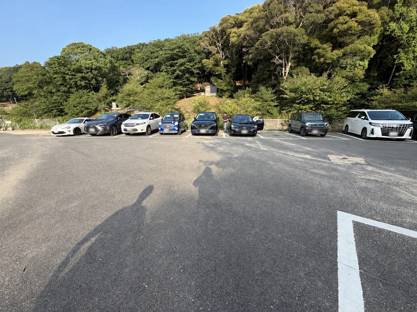 活動歴および当時の関連ビジュアル記録
