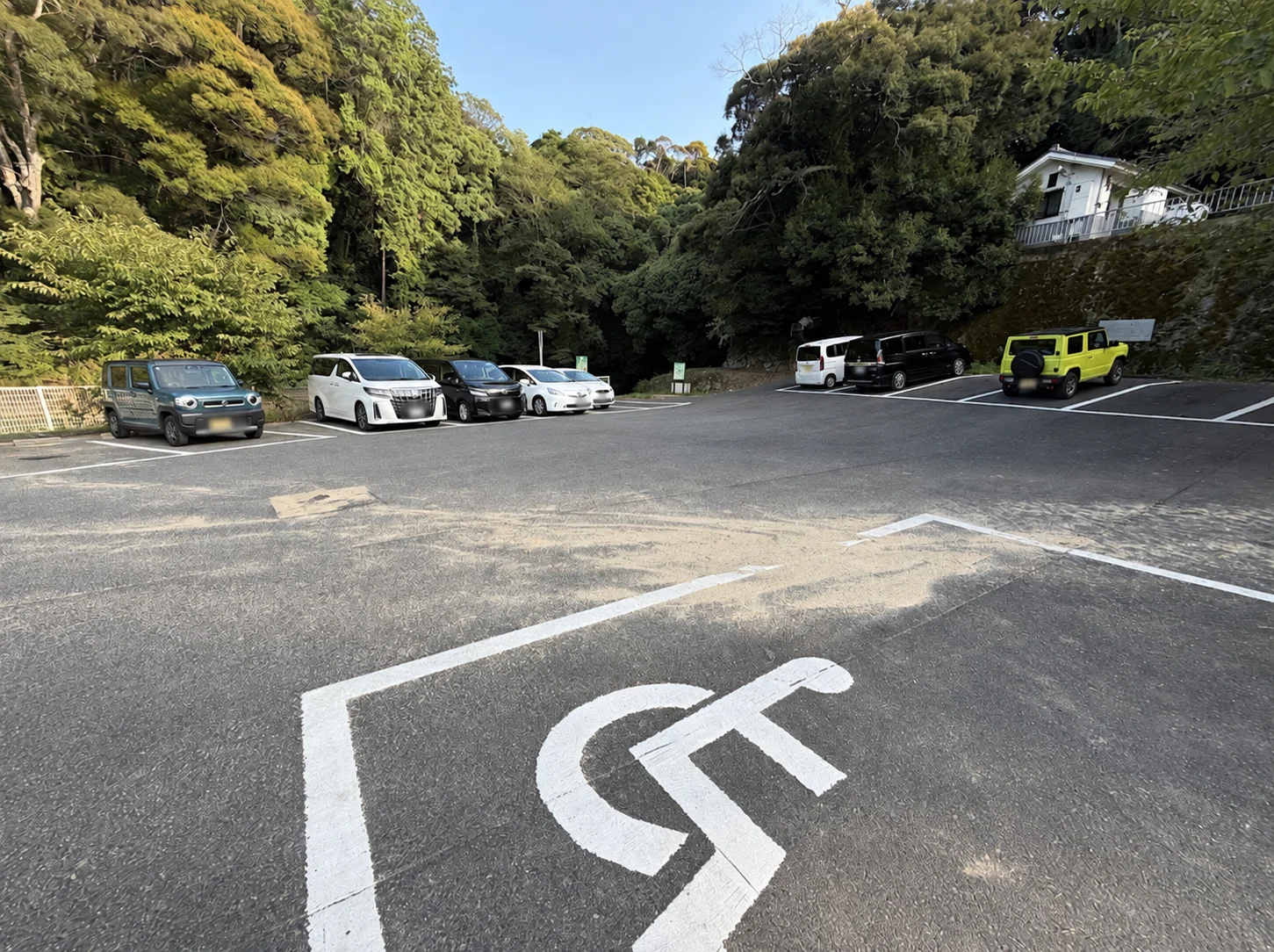 公の場での発言・インタビュー報道記録