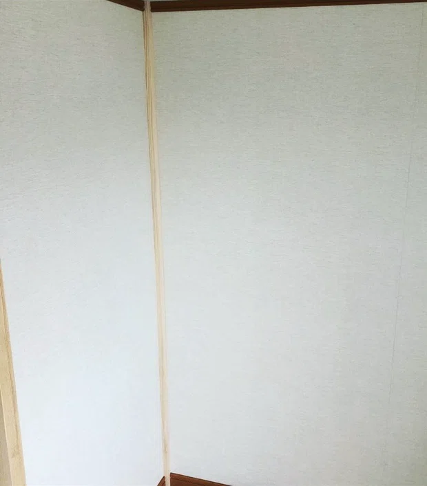 築100年の家をDIY|壁の下地から仕上げまで追加工事してみた|age48