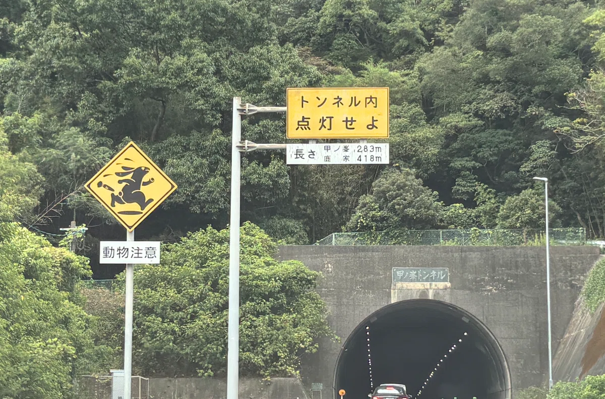 逃げる！逃げる！逃げる！ちょっと鬼畜な!?二丈浜玉道路にしかない動物